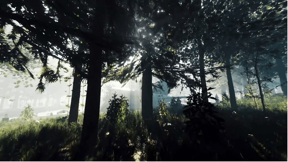 Is The Forest Cross Platform? (PC, Xbox, PS5, PS4) - Gamizoid