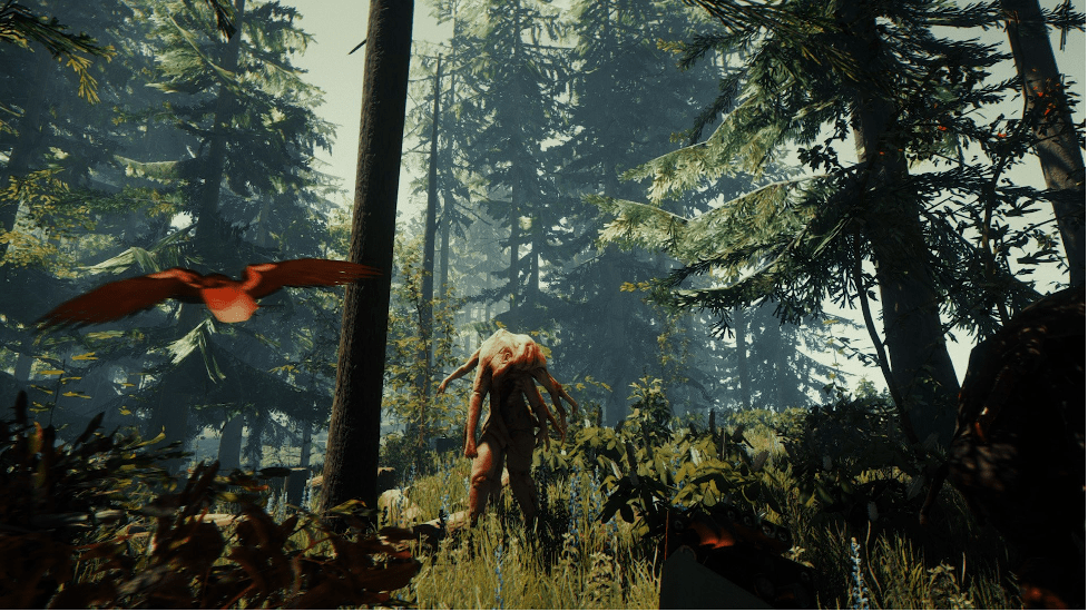 The Forest Weapons